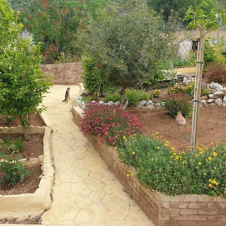 Villa Rania Loutraki Exterior foto